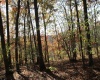 Lot 11 Sand Bank Heights Road, Masontown, West Virginia 26542, ,Lots/land,For Sale,Sand Bank Heights,10162409