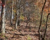Lot 11 Sand Bank Heights Road, Masontown, West Virginia 26542, ,Lots/land,For Sale,Sand Bank Heights,10162409