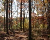 Lot 11 Sand Bank Heights Road, Masontown, West Virginia 26542, ,Lots/land,For Sale,Sand Bank Heights,10162409