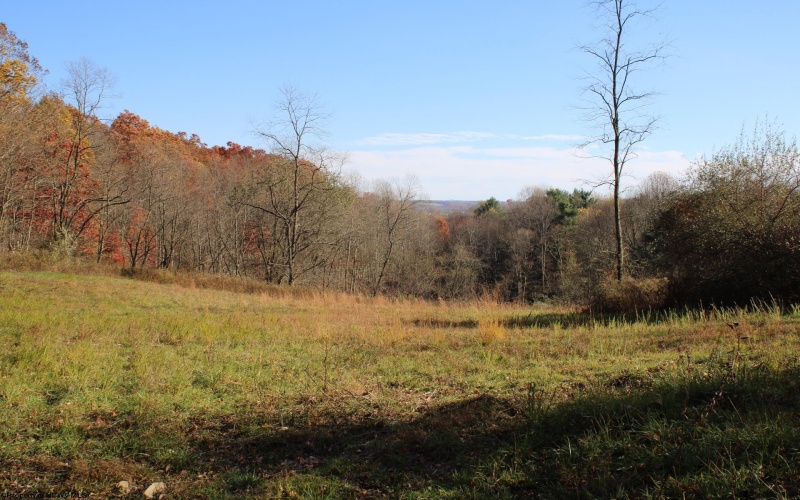 Lot 11 Sand Bank Heights Road, Masontown, West Virginia 26542, ,Lots/land,For Sale,Sand Bank Heights,10162409