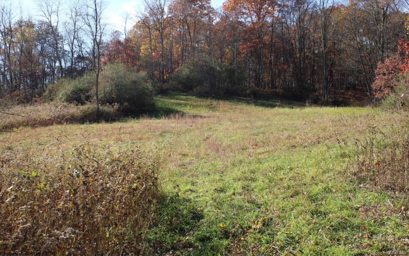 Lot 11 Sand Bank Heights Road, Masontown, West Virginia 26542, ,Lots/land,For Sale,Sand Bank Heights,10162409