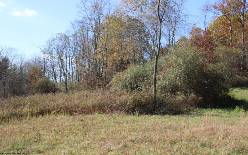 Lot 11 Sand Bank Heights Road, Masontown, West Virginia 26542, ,Lots/land,For Sale,Sand Bank Heights,10162409