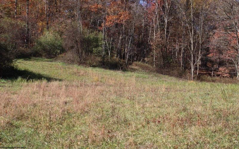 Lot 11 Sand Bank Heights Road, Masontown, West Virginia 26542, ,Lots/land,For Sale,Sand Bank Heights,10162409