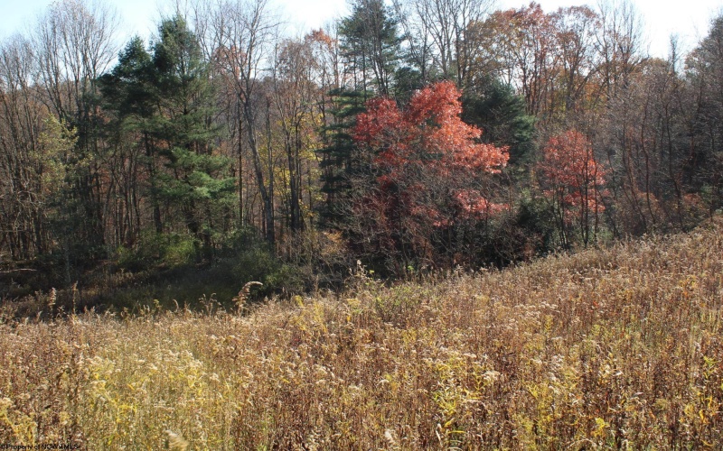 Lot 11 Sand Bank Heights Road, Masontown, West Virginia 26542, ,Lots/land,For Sale,Sand Bank Heights,10162409