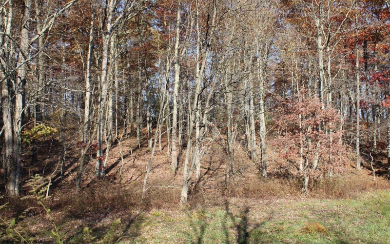 Lot 11 Sand Bank Heights Road, Masontown, West Virginia 26542, ,Lots/land,For Sale,Sand Bank Heights,10162409