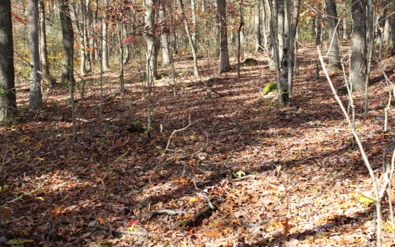 Lot 11 Sand Bank Heights Road, Masontown, West Virginia 26542, ,Lots/land,For Sale,Sand Bank Heights,10162409