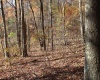 Lot 12 Sand Bank Heights Road, Masontown, West Virginia 26542, ,Lots/land,For Sale,Sand Bank Heights,10162410