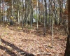 Lot 12 Sand Bank Heights Road, Masontown, West Virginia 26542, ,Lots/land,For Sale,Sand Bank Heights,10162410