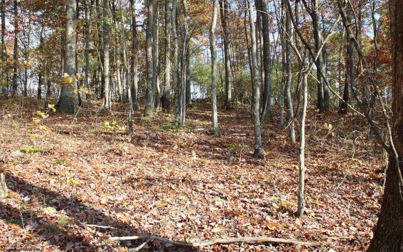 Lot 12 Sand Bank Heights Road, Masontown, West Virginia 26542, ,Lots/land,For Sale,Sand Bank Heights,10162410