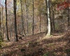 Lot 12 Sand Bank Heights Road, Masontown, West Virginia 26542, ,Lots/land,For Sale,Sand Bank Heights,10162410