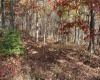 Lot 12 Sand Bank Heights Road, Masontown, West Virginia 26542, ,Lots/land,For Sale,Sand Bank Heights,10162410