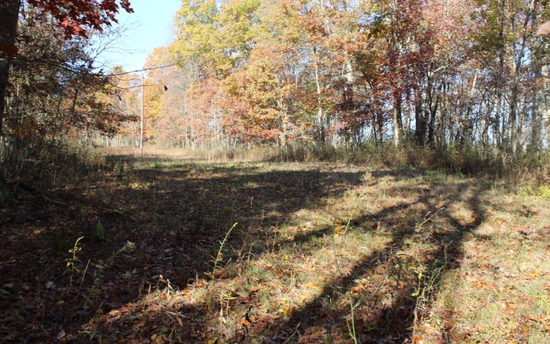 Lot 12 Sand Bank Heights Road, Masontown, West Virginia 26542, ,Lots/land,For Sale,Sand Bank Heights,10162410
