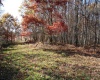 Lot 12 Sand Bank Heights Road, Masontown, West Virginia 26542, ,Lots/land,For Sale,Sand Bank Heights,10162410