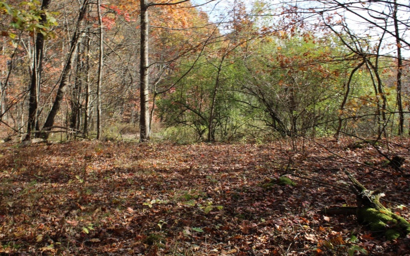 Lot 12 Sand Bank Heights Road, Masontown, West Virginia 26542, ,Lots/land,For Sale,Sand Bank Heights,10162410