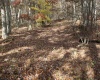 Lot 12 Sand Bank Heights Road, Masontown, West Virginia 26542, ,Lots/land,For Sale,Sand Bank Heights,10162410