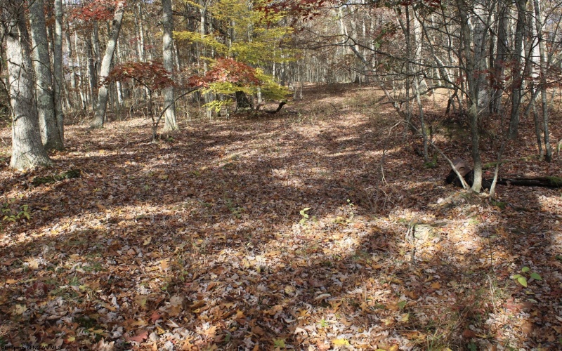 Lot 12 Sand Bank Heights Road, Masontown, West Virginia 26542, ,Lots/land,For Sale,Sand Bank Heights,10162410