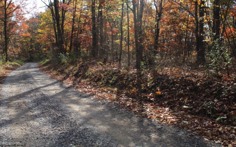 Lot 12 Sand Bank Heights Road, Masontown, West Virginia 26542, ,Lots/land,For Sale,Sand Bank Heights,10162410