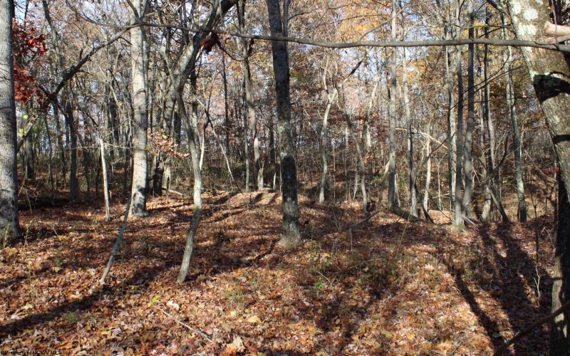 Lot 12 Sand Bank Heights Road, Masontown, West Virginia 26542, ,Lots/land,For Sale,Sand Bank Heights,10162410