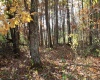 Lot 12 Sand Bank Heights Road, Masontown, West Virginia 26542, ,Lots/land,For Sale,Sand Bank Heights,10162410