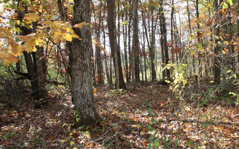 Lot 12 Sand Bank Heights Road, Masontown, West Virginia 26542, ,Lots/land,For Sale,Sand Bank Heights,10162410