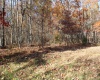 Lot 12 Sand Bank Heights Road, Masontown, West Virginia 26542, ,Lots/land,For Sale,Sand Bank Heights,10162410