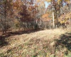 Lot 12 Sand Bank Heights Road, Masontown, West Virginia 26542, ,Lots/land,For Sale,Sand Bank Heights,10162410