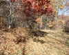 Lot 12 Sand Bank Heights Road, Masontown, West Virginia 26542, ,Lots/land,For Sale,Sand Bank Heights,10162410