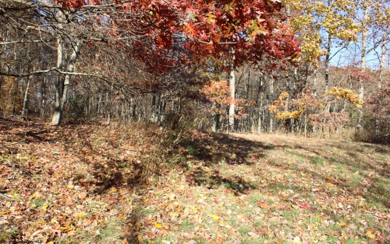 Lot 12 Sand Bank Heights Road, Masontown, West Virginia 26542, ,Lots/land,For Sale,Sand Bank Heights,10162410