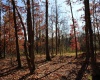 Lot 12 Sand Bank Heights Road, Masontown, West Virginia 26542, ,Lots/land,For Sale,Sand Bank Heights,10162410