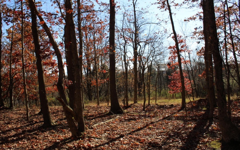 Lot 12 Sand Bank Heights Road, Masontown, West Virginia 26542, ,Lots/land,For Sale,Sand Bank Heights,10162410