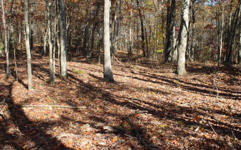 Lot 12 Sand Bank Heights Road, Masontown, West Virginia 26542, ,Lots/land,For Sale,Sand Bank Heights,10162410