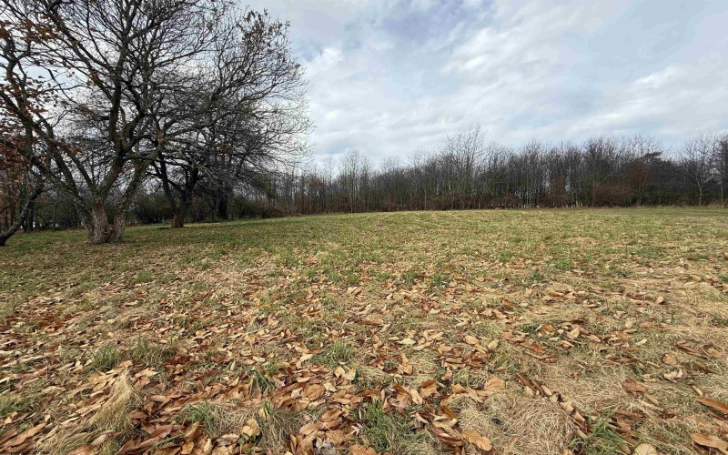 505 F Road, Arthurdale, West Virginia 26520, 2 Bedrooms Bedrooms, 7 Rooms Rooms,2 BathroomsBathrooms,Single Family Detached,For Sale,F,10162404 505 F Road, Arthurdale, West Virginia 26520, 2 Bedrooms Bedrooms, 7 Rooms Rooms,2 BathroomsBathrooms,Single Family Detached,For Sale,F,10162404