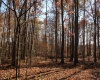 Lot 13 Sand Bank Heights Road, Masontown, West Virginia 26542, ,Lots/land,For Sale,Sand Bank Heights,10162411