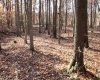 Lot 13 Sand Bank Heights Road, Masontown, West Virginia 26542, ,Lots/land,For Sale,Sand Bank Heights,10162411