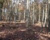 Lot 13 Sand Bank Heights Road, Masontown, West Virginia 26542, ,Lots/land,For Sale,Sand Bank Heights,10162411