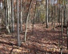 Lot 13 Sand Bank Heights Road, Masontown, West Virginia 26542, ,Lots/land,For Sale,Sand Bank Heights,10162411