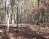 Lot 13 Sand Bank Heights Road, Masontown, West Virginia 26542, ,Lots/land,For Sale,Sand Bank Heights,10162411