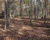 Lot 13 Sand Bank Heights Road, Masontown, West Virginia 26542, ,Lots/land,For Sale,Sand Bank Heights,10162411