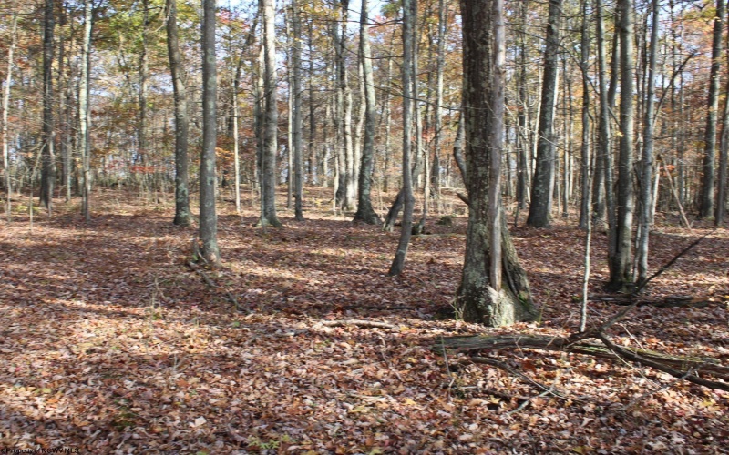 Lot 13 Sand Bank Heights Road, Masontown, West Virginia 26542, ,Lots/land,For Sale,Sand Bank Heights,10162411