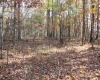 Lot 13 Sand Bank Heights Road, Masontown, West Virginia 26542, ,Lots/land,For Sale,Sand Bank Heights,10162411