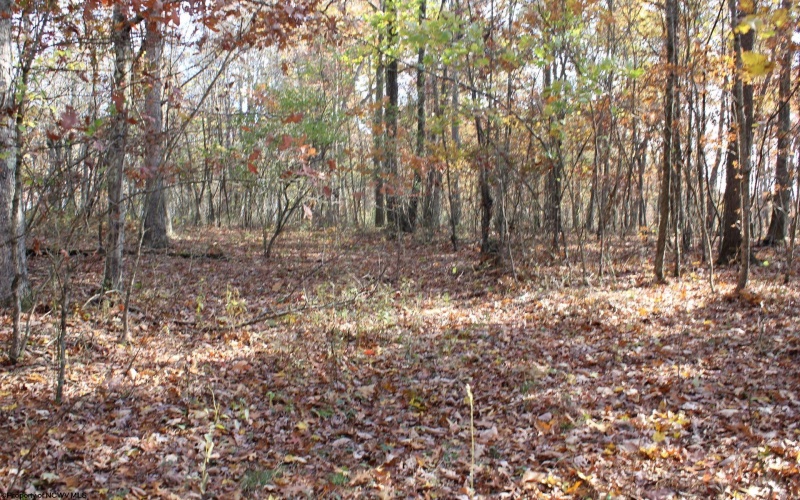 Lot 13 Sand Bank Heights Road, Masontown, West Virginia 26542, ,Lots/land,For Sale,Sand Bank Heights,10162411