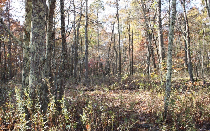 Lot 13 Sand Bank Heights Road, Masontown, West Virginia 26542, ,Lots/land,For Sale,Sand Bank Heights,10162411