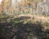 Lot 13 Sand Bank Heights Road, Masontown, West Virginia 26542, ,Lots/land,For Sale,Sand Bank Heights,10162411