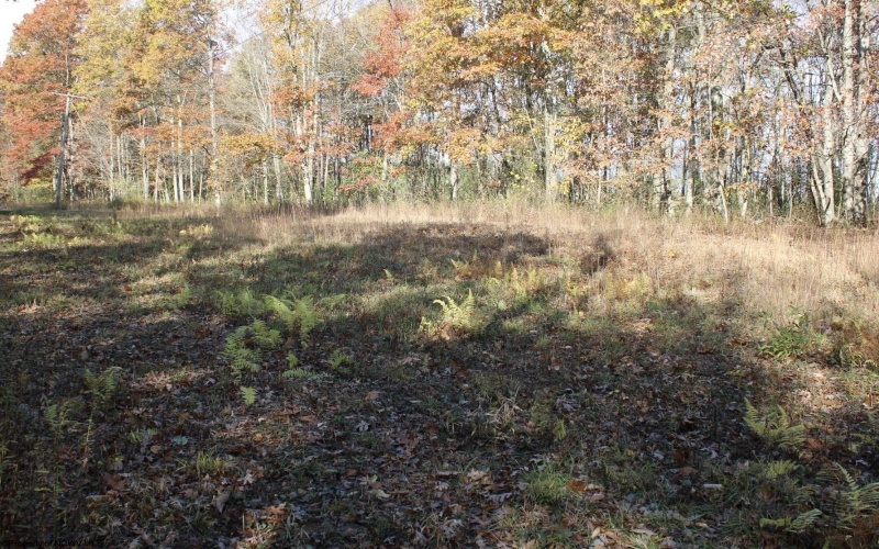 Lot 13 Sand Bank Heights Road, Masontown, West Virginia 26542, ,Lots/land,For Sale,Sand Bank Heights,10162411
