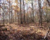 Lot 13 Sand Bank Heights Road, Masontown, West Virginia 26542, ,Lots/land,For Sale,Sand Bank Heights,10162411