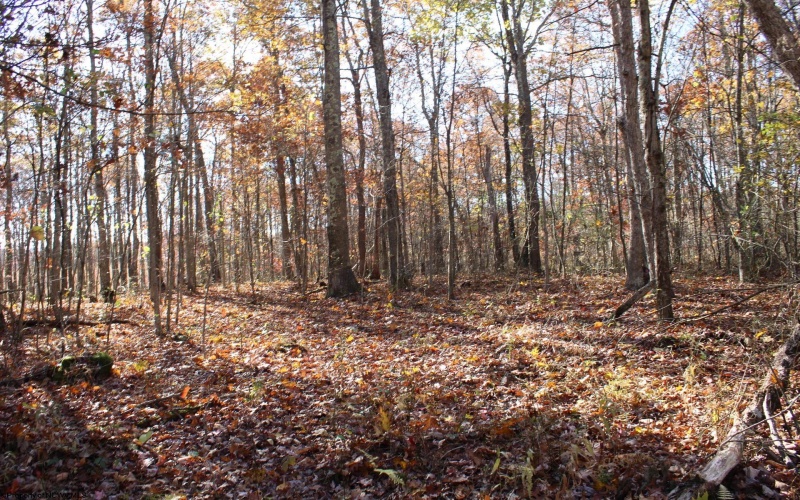 Lot 13 Sand Bank Heights Road, Masontown, West Virginia 26542, ,Lots/land,For Sale,Sand Bank Heights,10162411