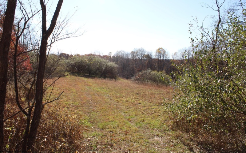 Lot 14 Sand Bank Heights Road, Masontown, West Virginia 26542, ,Lots/land,For Sale,Sand Bank Heights,10162412 Lot 14 Sand Bank Heights Road, Masontown, West Virginia 26542, ,Lots/land,For Sale,Sand Bank Heights,10162412