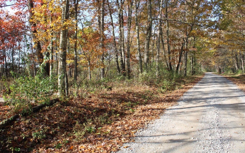 Lot 14 Sand Bank Heights Road, Masontown, West Virginia 26542, ,Lots/land,For Sale,Sand Bank Heights,10162412 Lot 14 Sand Bank Heights Road, Masontown, West Virginia 26542, ,Lots/land,For Sale,Sand Bank Heights,10162412