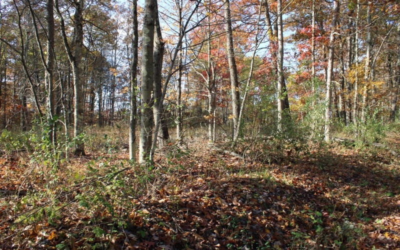 Lot 14 Sand Bank Heights Road, Masontown, West Virginia 26542, ,Lots/land,For Sale,Sand Bank Heights,10162412 Lot 14 Sand Bank Heights Road, Masontown, West Virginia 26542, ,Lots/land,For Sale,Sand Bank Heights,10162412