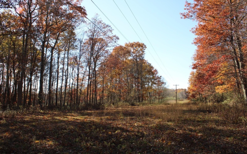 Lot 14 Sand Bank Heights Road, Masontown, West Virginia 26542, ,Lots/land,For Sale,Sand Bank Heights,10162412 Lot 14 Sand Bank Heights Road, Masontown, West Virginia 26542, ,Lots/land,For Sale,Sand Bank Heights,10162412
